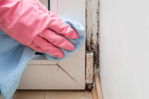 Best Crawl Space Mold Removal  in Milford, PA